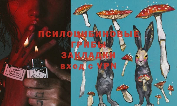 стафф Абдулино